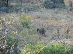 Suedafrika (269)